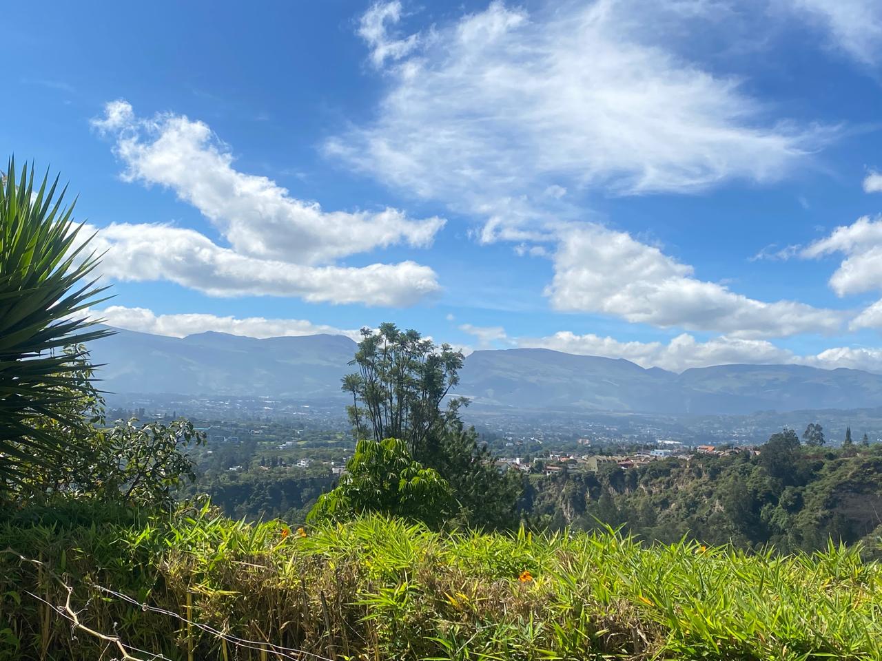 49-panoramic